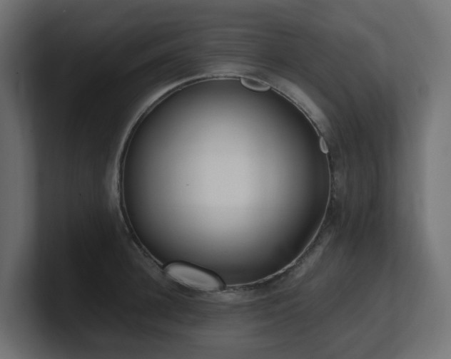 X0000100930948200806241402