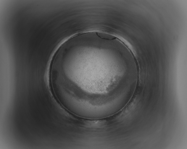 X0000100930949200806241402