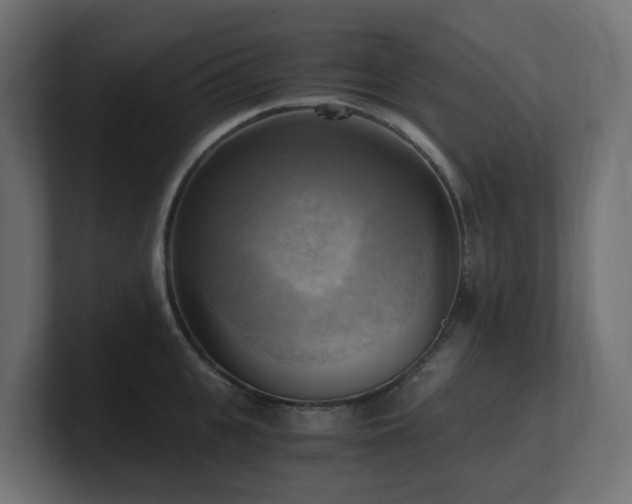 X0000100930951200806241402