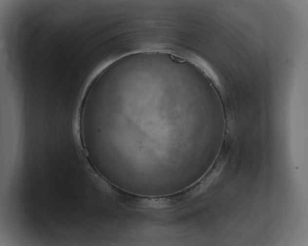 X0000100930952200806241402