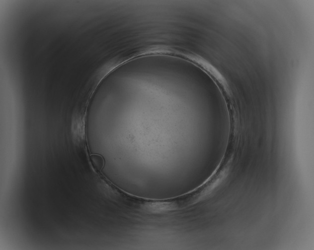 X0000100930953200806241402