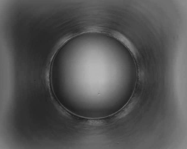 X0000100930954200806241402