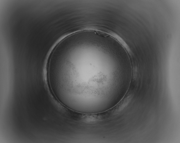 X0000100930955200806241402