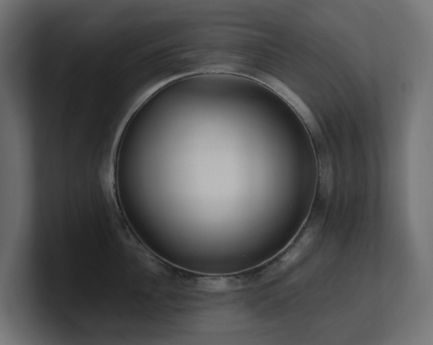 X0000100930956200806241402