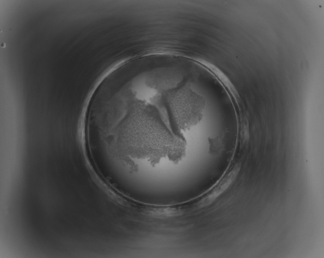 X0000100930957200806241402