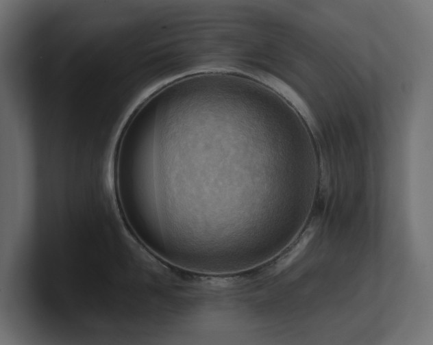 X0000100930958200806241402