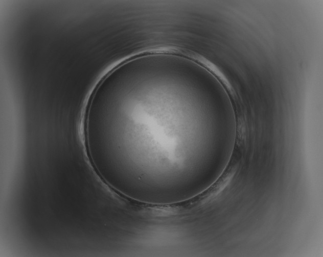 X0000100930959200806241402