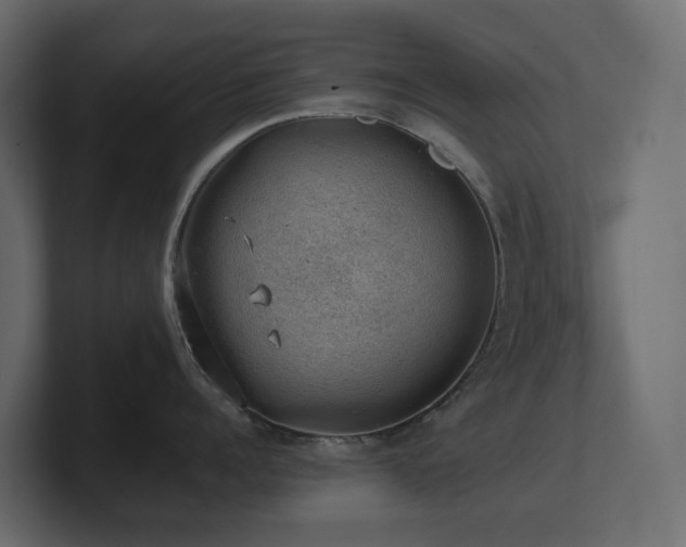 X0000100930960200806241402