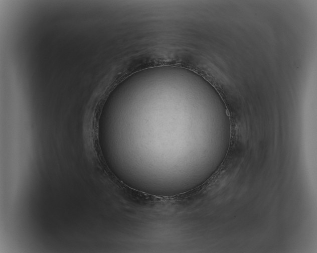 X0000100930961200806241402