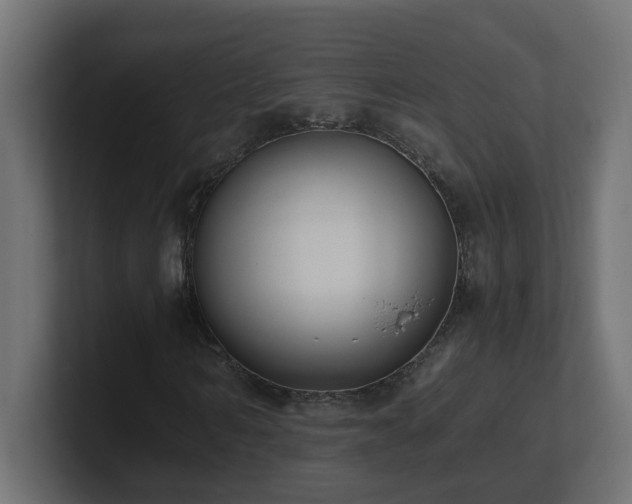 X0000100930962200806241402