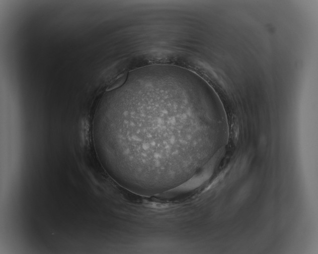 X0000100930964200806241402