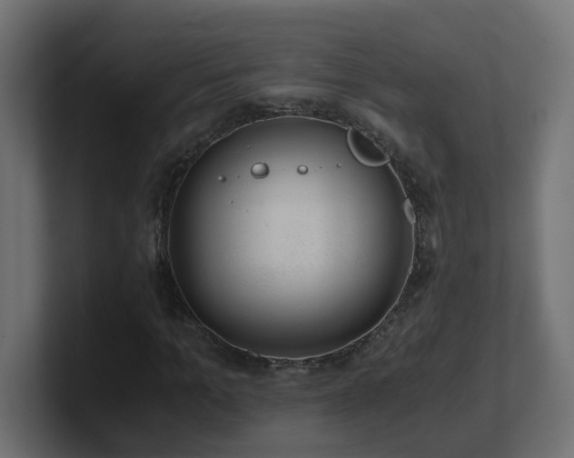 X0000100930965200806241402