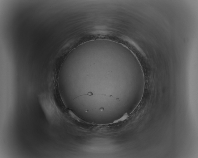 X0000100930967200806241402