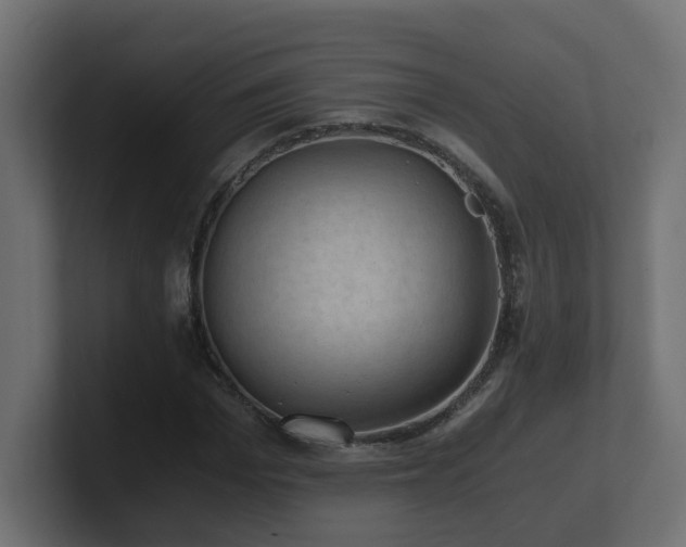 X0000100930969200806241402