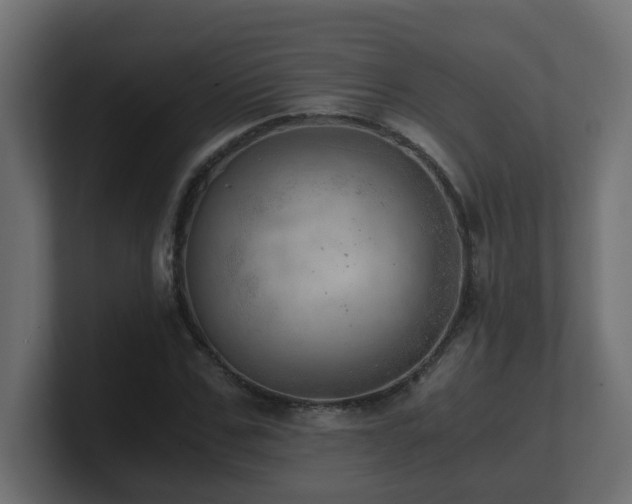 X0000100930971200806241402