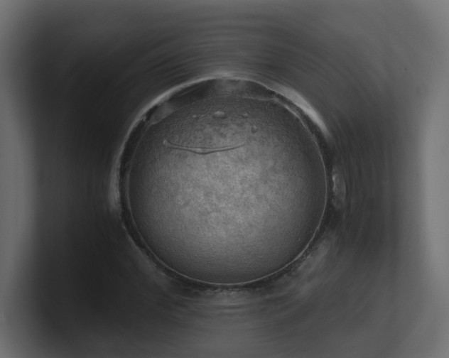 X0000100930972200806241402