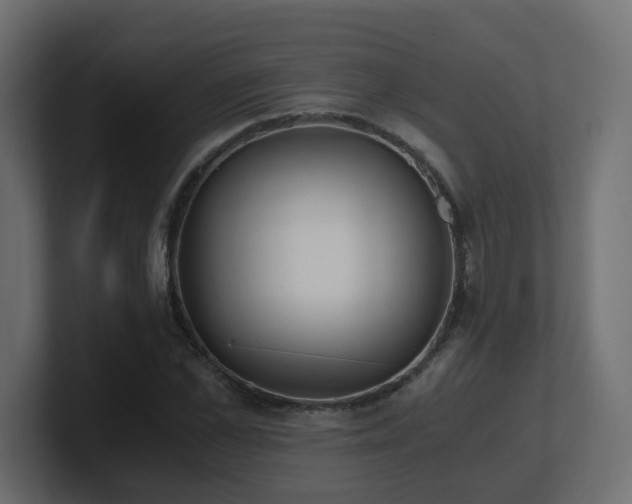 X0000100930973200806241402