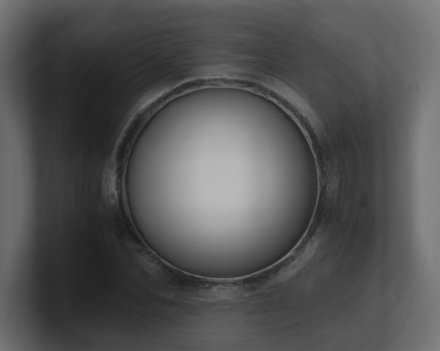 X0000100930974200806241402