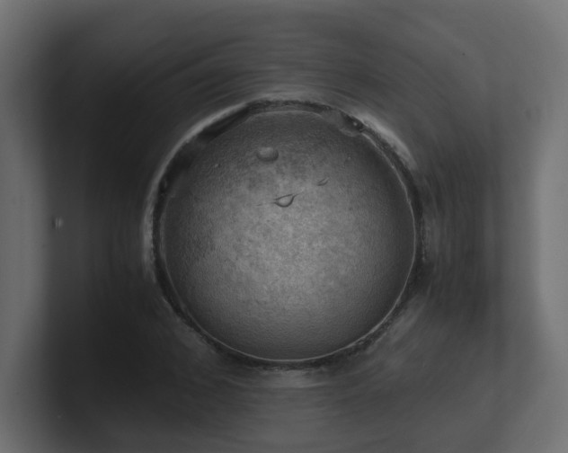 X0000100930976200806241402