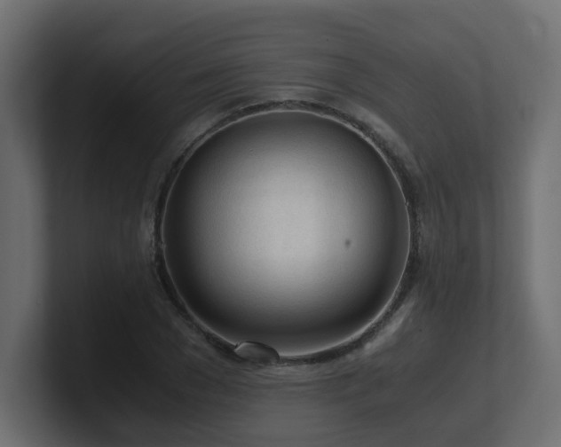 X0000100930977200806241402