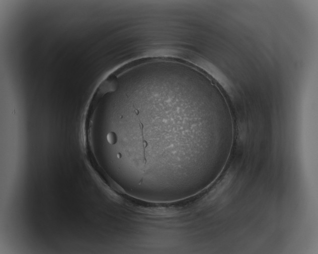 X0000100930980200806241402