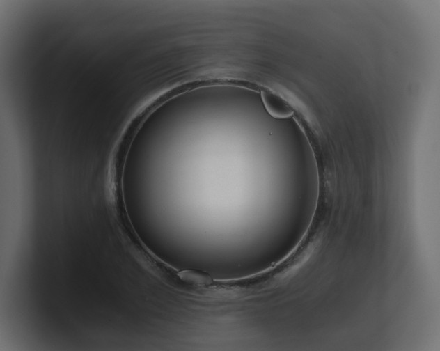 X0000100930981200806241402