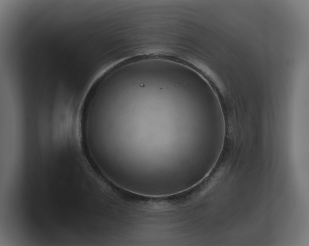 X0000100930983200806241401