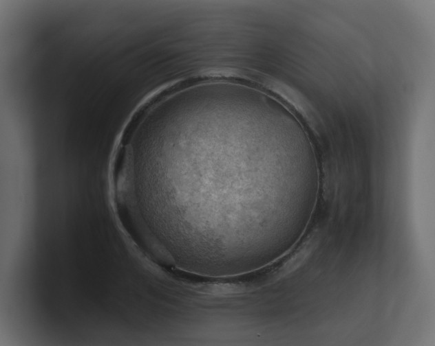 X0000100930984200806241401