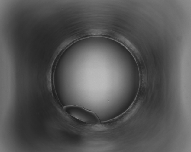 X0000100930986200806241401