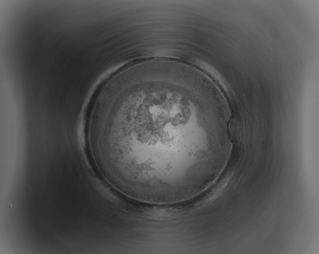 X0000100930987200806241401