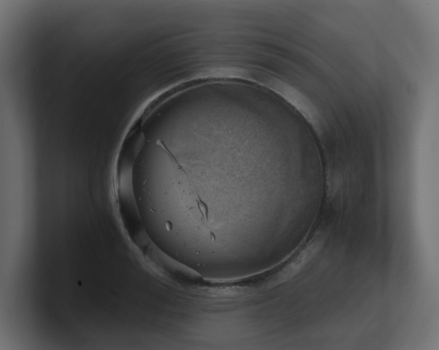 X0000100930988200806241401