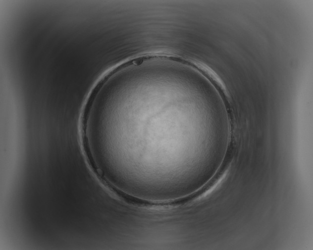 X0000100930989200806241401