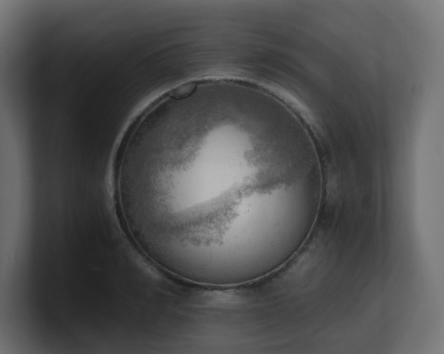 X0000100930990200806241401