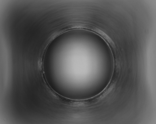 X0000100930993200806241401