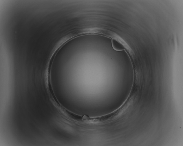 X0000100930994200806241401