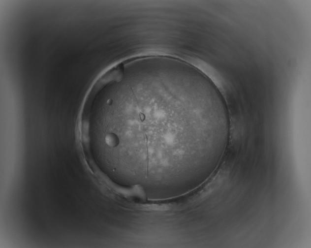 X0000100930996200806241401