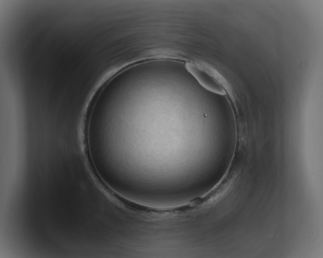 X0000100930997200806241401