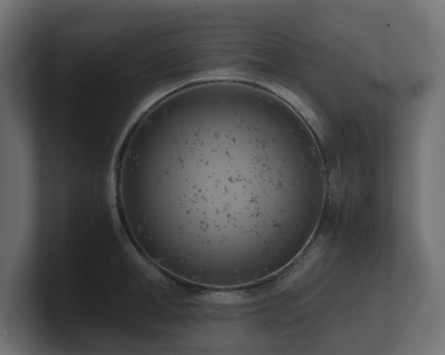 X0000100930998200806241401