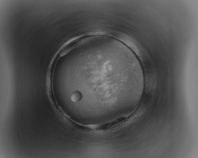 X0000100931000200806241401