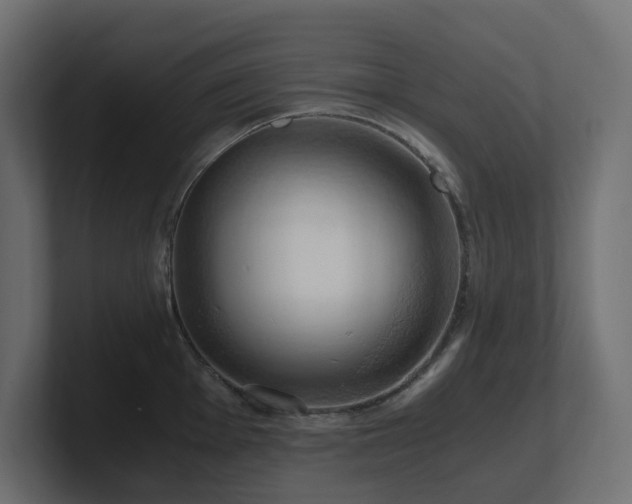 X0000100931001200806241401