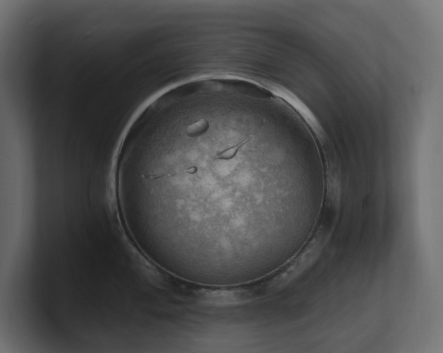 X0000100931004200806241401