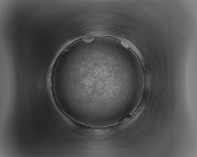 X0000100931005200806241401