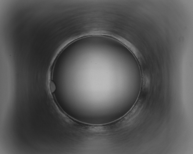 X0000100931006200806241401