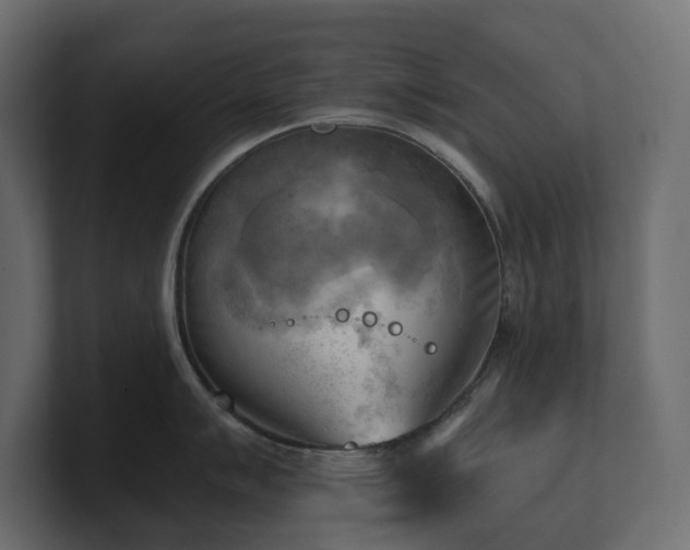 X0000100931007200806241401