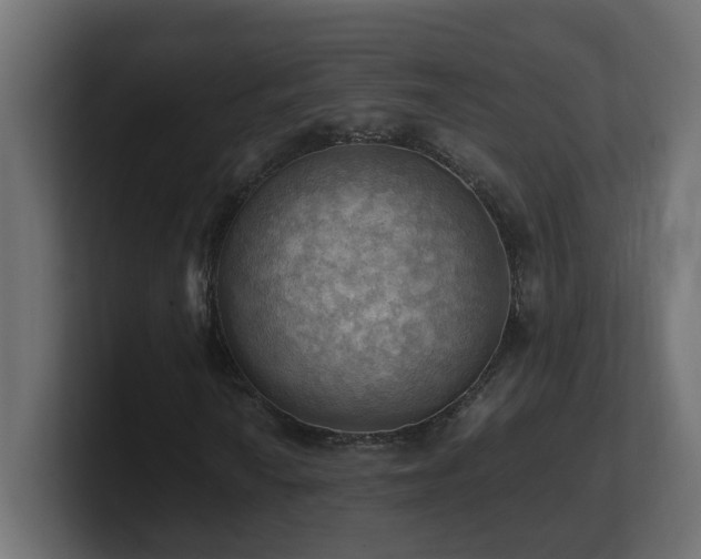 X0000100931010200806241400