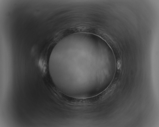 X0000100931011200806241400