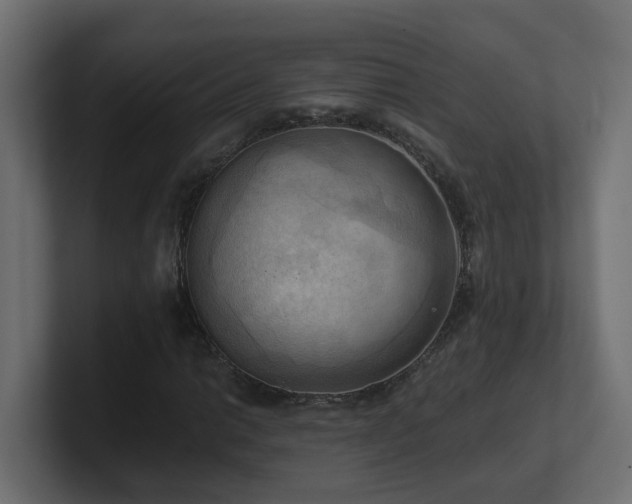 X0000100931014200806241400