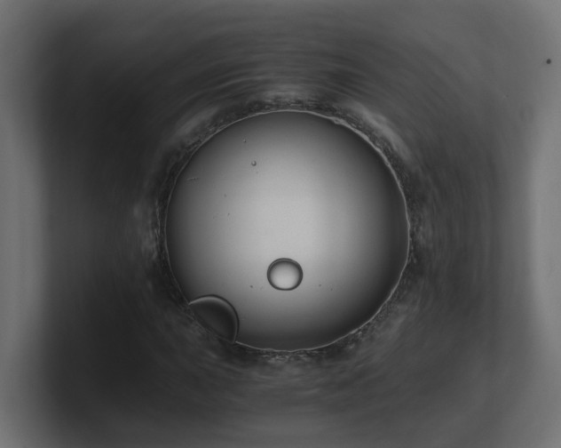 X0000100931015200806241400