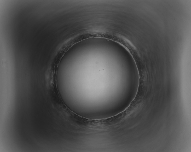 X0000100931016200806241401