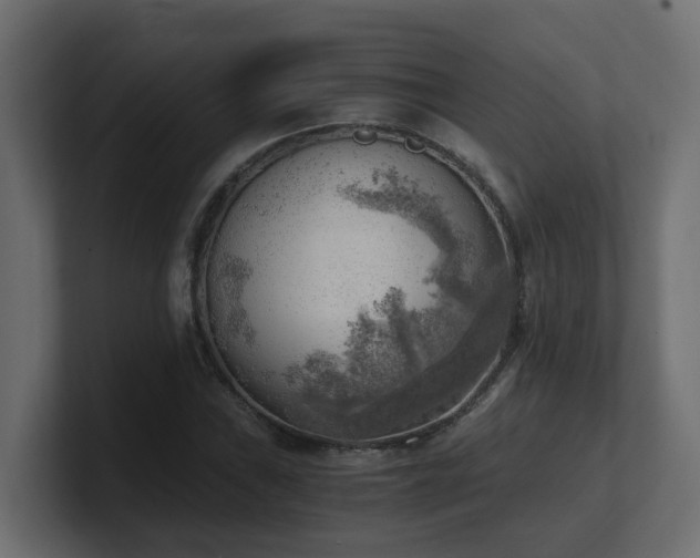 X0000100931019200806241401